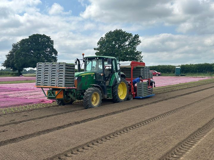 Graduate Trainee - Soft Fruit & Salad Production