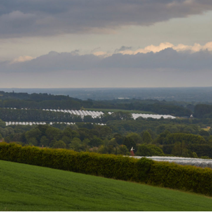 Hugh Lowe Farms Farming for a fruitful future Hugh Lowe Farms