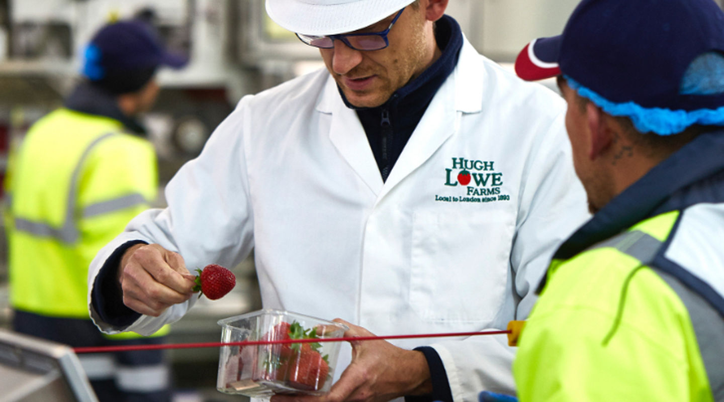 Contact Hugh Lowe Farms