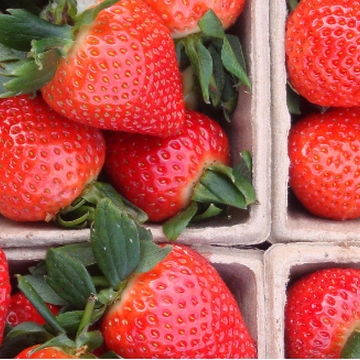 Fructul nostru
