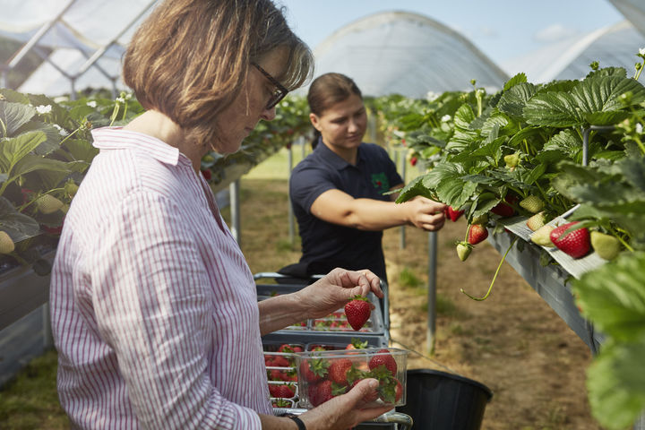 Experts in our field