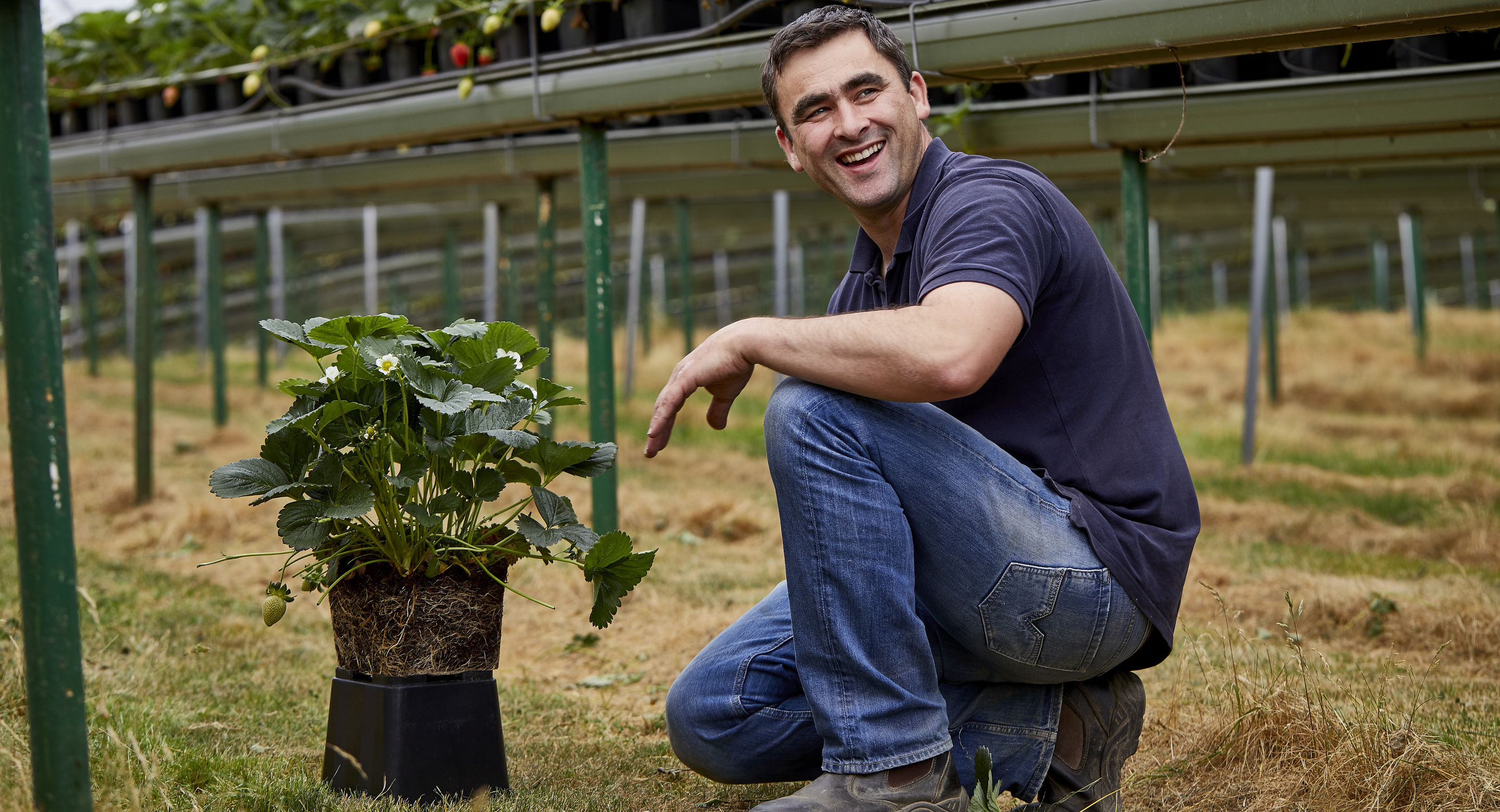 Full time work Hugh Lowe Farms