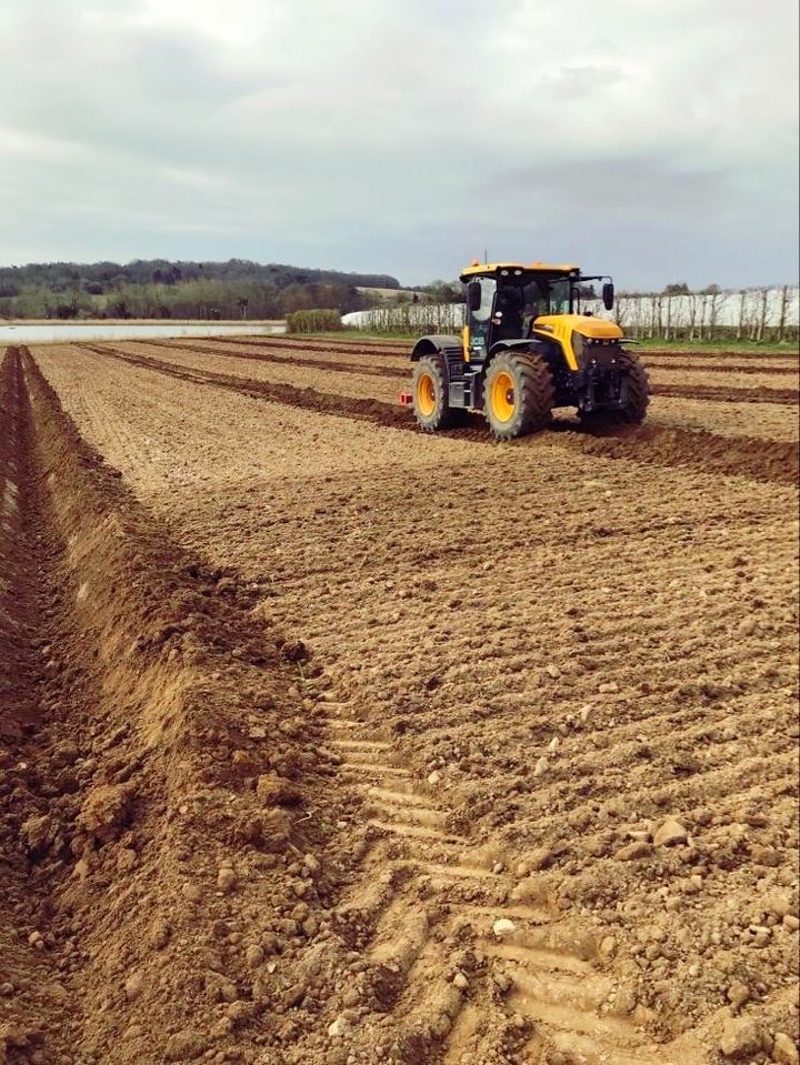 Senior Tractor Driver Position